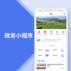 政务